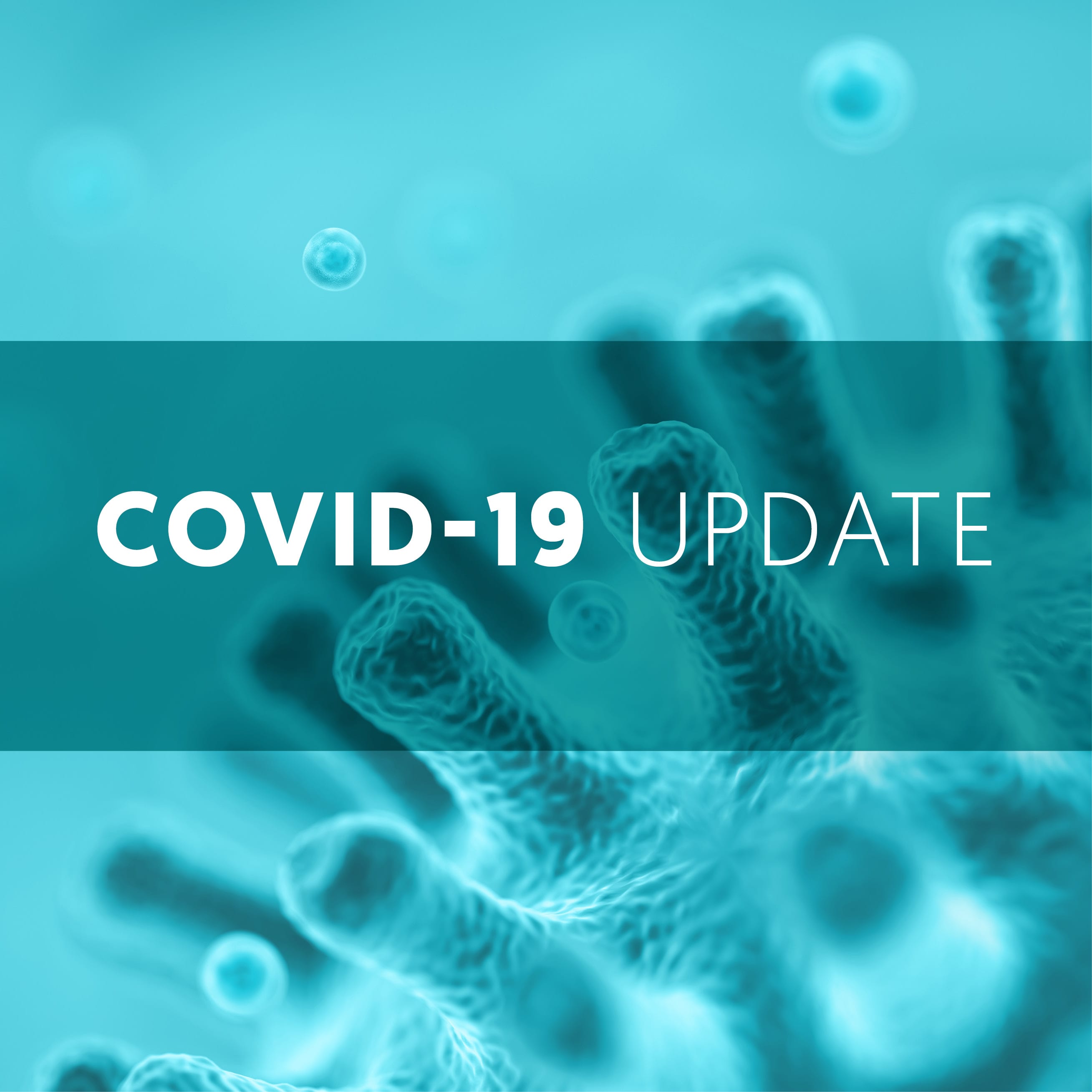 Action on COVID-19 (coronavirus)